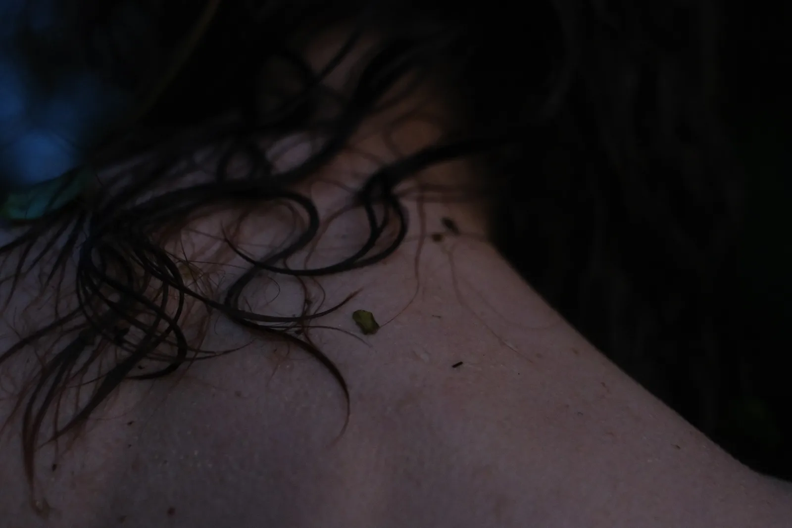 Wet hair curling over a bare shoulder at dusk, a river leaf stuck to the skin