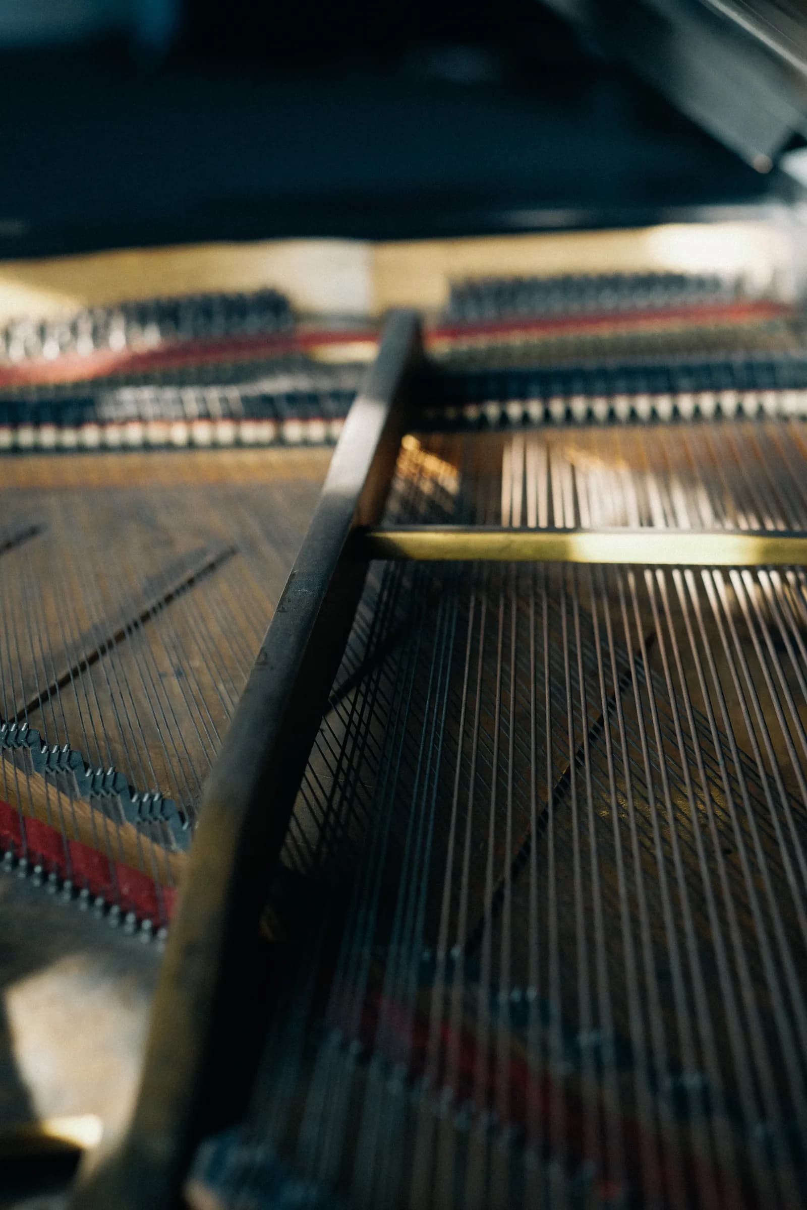 Strings and frame inside an open grand piano, lit low